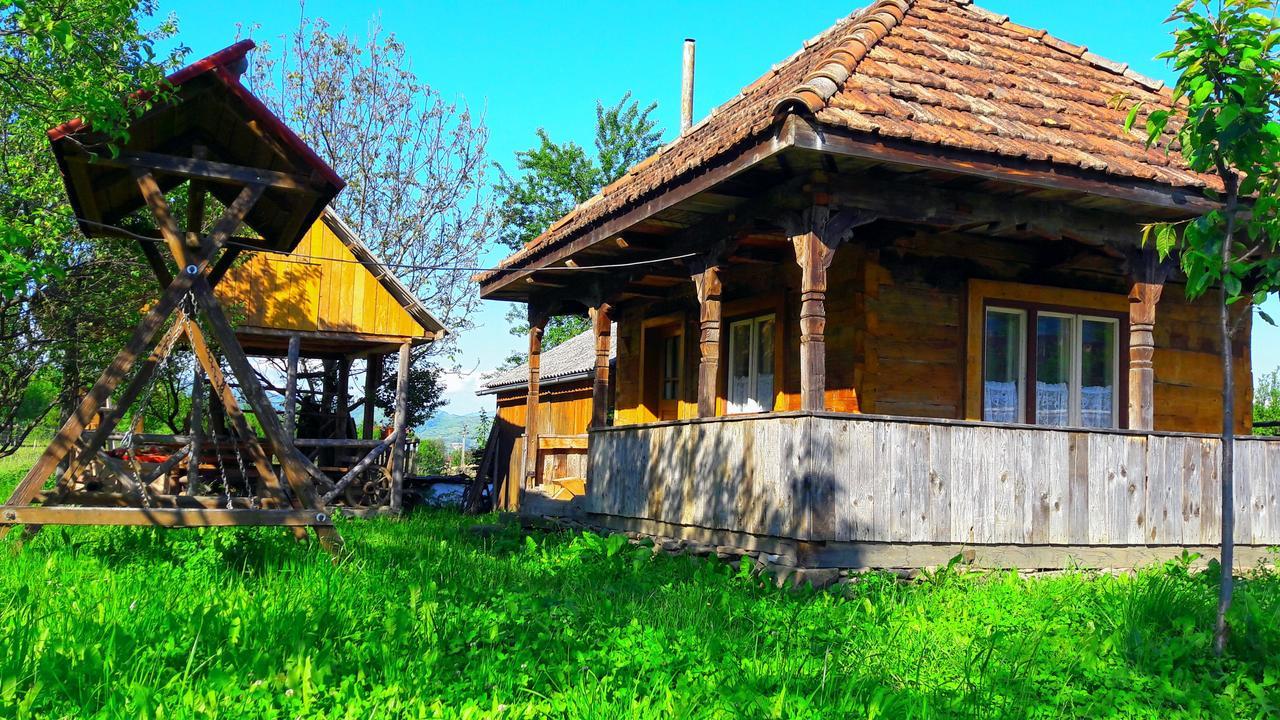 Pensiunea Ilea Ieud Exterior photo