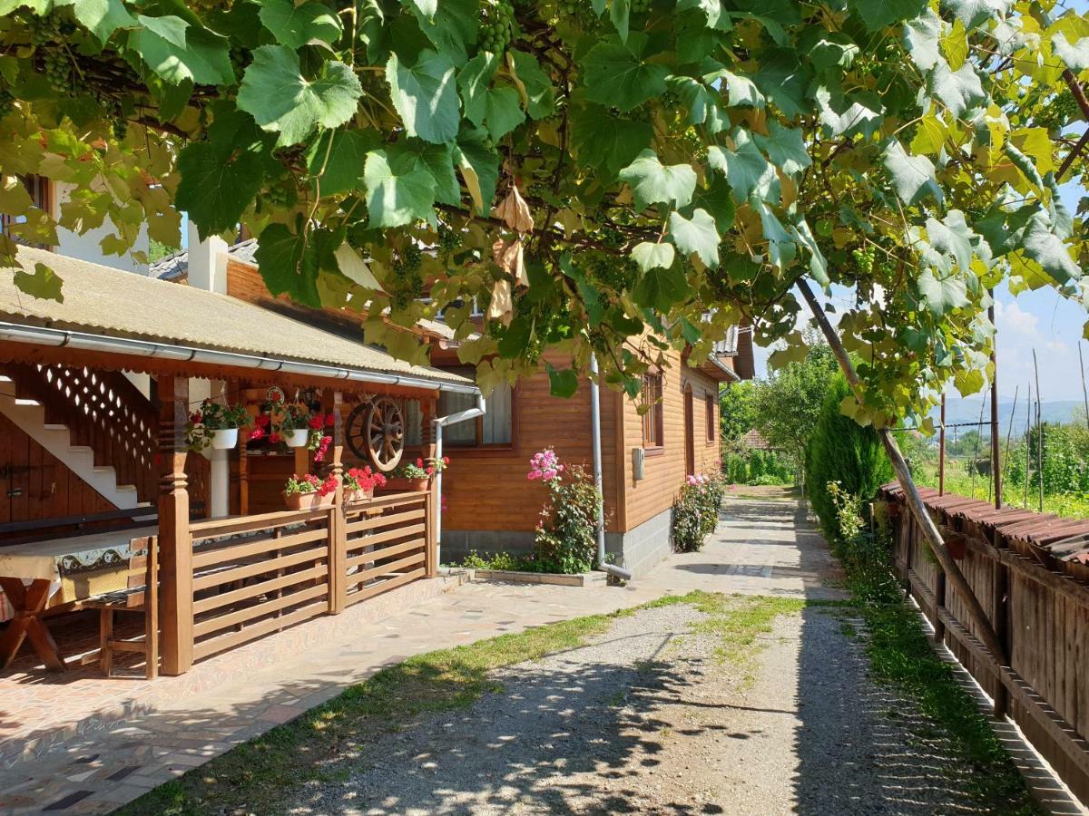 Pensiunea Ilea Ieud Exterior photo