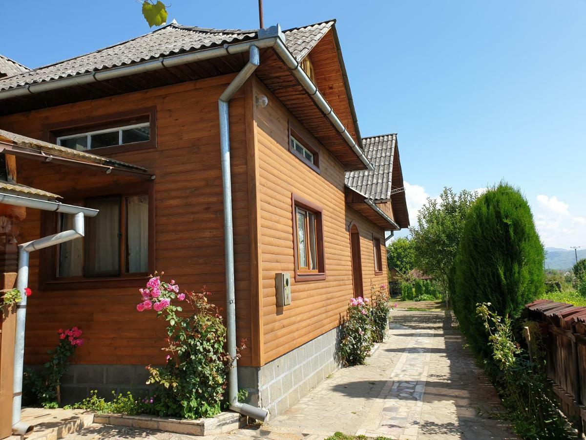 Pensiunea Ilea Ieud Exterior photo